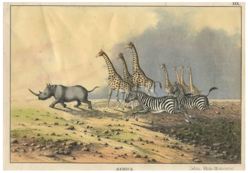 Edmonston and Douglas (1860): Image of a black rhino and other African mammals from The Instructive picture book.
