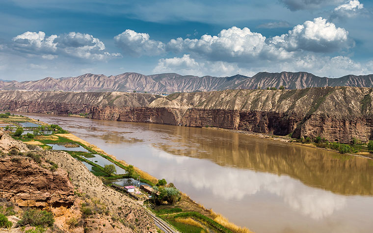 Thirsty wheat needed new water management strategy in ancient China