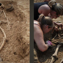 Ancient DNA research projects nominated for top archaeology award