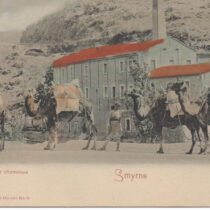 Exhibition at the BCM: Smyrna in the early 20th century