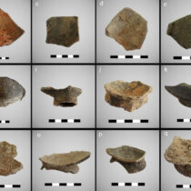 Researchers unveil evolution of Paleodiet at Neolithic Site of Qujialing
