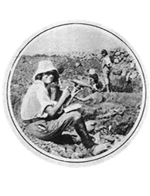 Unsung Pioneer Women in the Archaeology of Greece