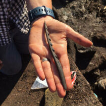 Shedding light on the lives of Stone Age hunter-gatherers in Britain