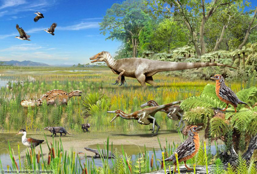 A time averaged artist’s interpretation of Patagonia during the Late Cretaceous, about  66-78 million years ago. The animals pictured include non-avian dinosaurs, birds and other vertebrates that have been discovered in the fossil record of the region. Their specific identifications are as follows: ornithurine birds (flying and walking on the ground), Stegouros (armored dinosaur), Orretherium (mammal), Yaminuechelys (turtle), a megaraptorid (large carnivore), unenlagiines (pair of carnivores), and enantiornithine birds (in foreground). Credit: Mauricio Alvarez and Gabriel Diaz.