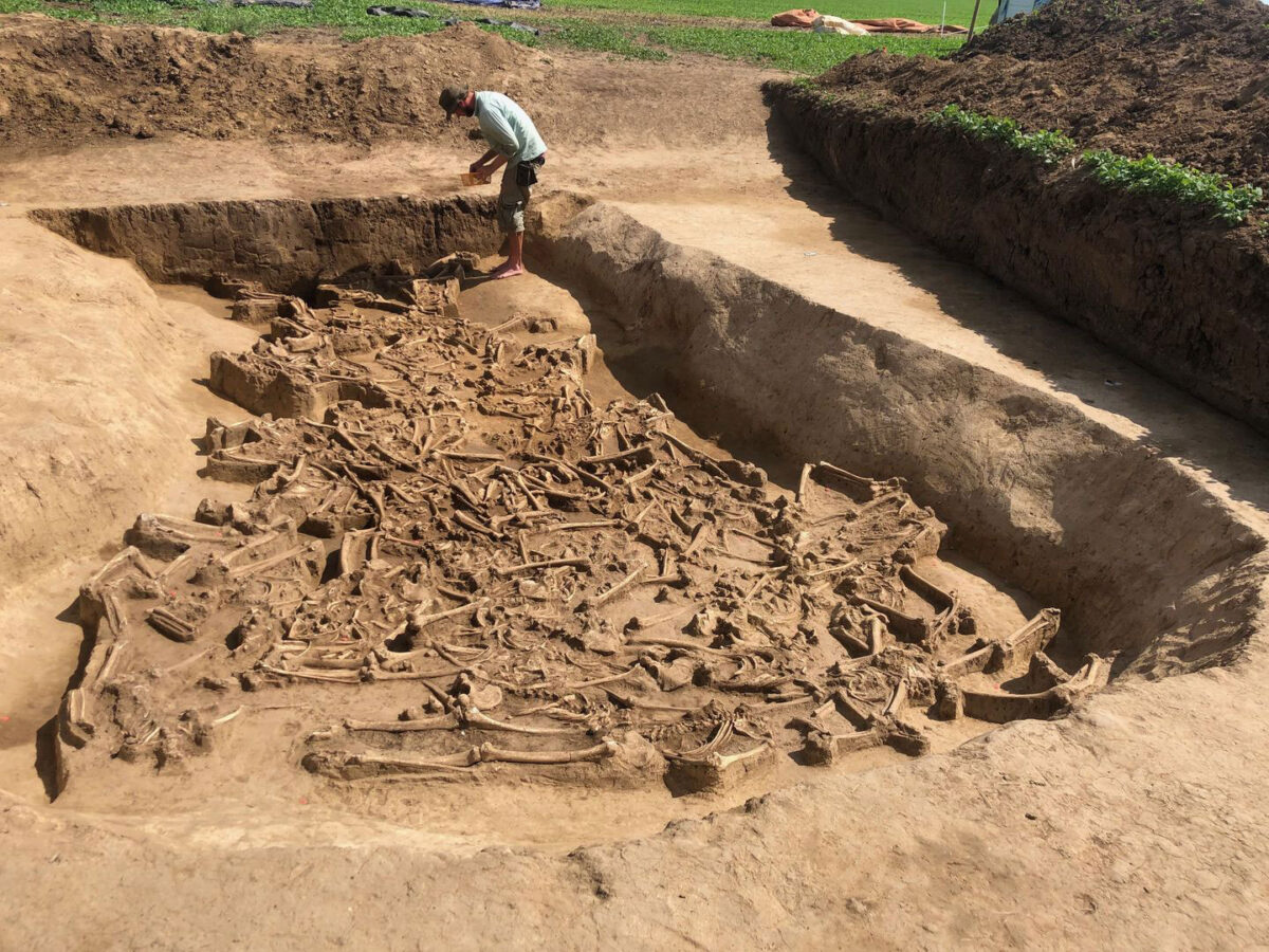 Uncovering and recovering such a find is a special challenge for the archaeologists. © Prof. Dr. Martin Furholt, Institute for Pre- and Protohistoric Archaeology/Kiel University