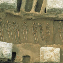 Understanding the elusive origins of the Black Death
