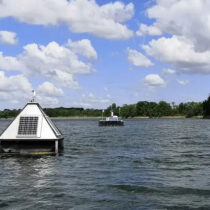 Humans have influenced the growth of blue-green algae in lakes
