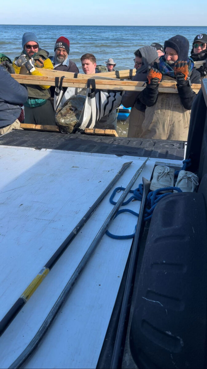 Photo 2. Team lifting skull into truck. Photo courtesy of the Calvert Marine Museum.