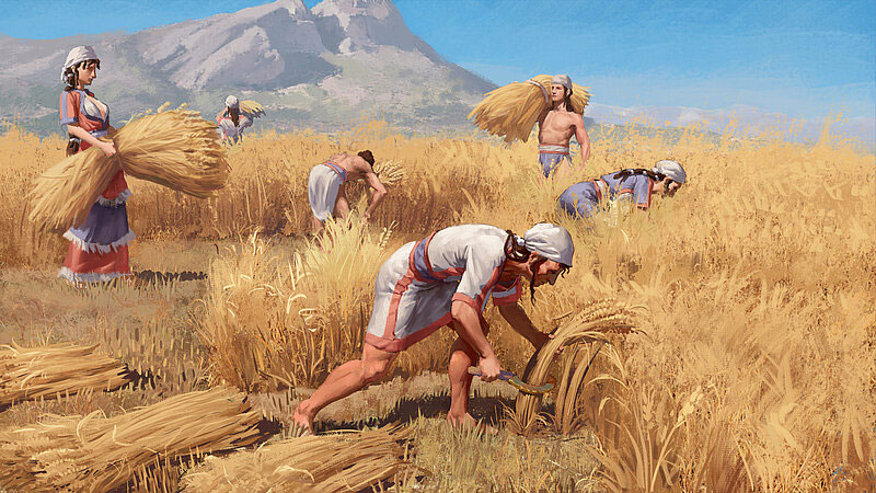 Life picture: Bronze Age family harvesting grain. © Nikola Nevenov