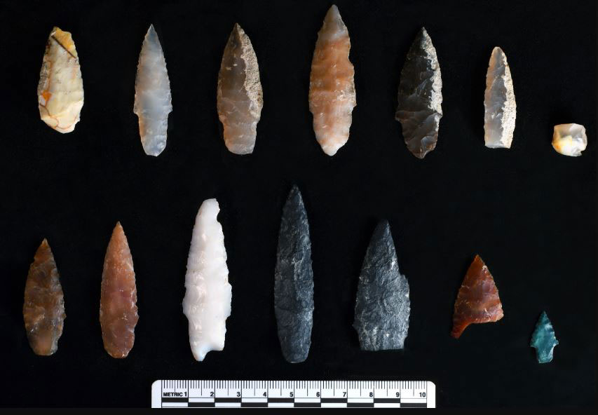 The projectile points, razor sharp and ranging from about half an inch to 2 inches long, are from roughly 15,700 years ago, according to carbon-14 dating.  Image credit: Oregon State University