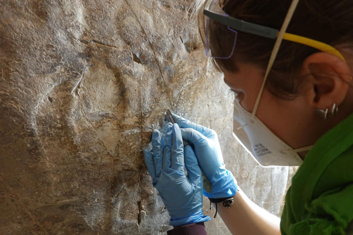 The two tombs, known as TT11 AND 12, were discovered during the work of the joint Egyptian-Spanish archaeological mission in 2003. 