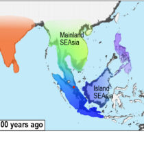 Sea-level rise drove prehistoric human migration in sea