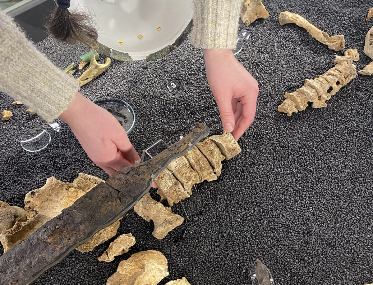 A team from the University of Reading, Cranfield University and Oxfordshire Museum Service are learning more about the pair, who were discovered at Lowbury Hill, Oxfordshire, in 1913 and 1914. Image Credit: Oxfordshire County Council and Oxfordshire Museum Service 