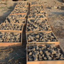 Cyprus’s copper deposits created one of the most important trade hubs
