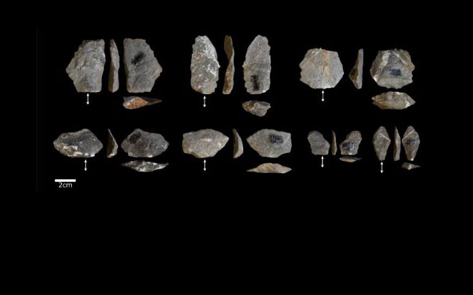 Surprising similarities in stone tools of early humans and monkeys