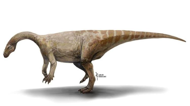 Plateosaurus. Credit: Jakub Zalewski