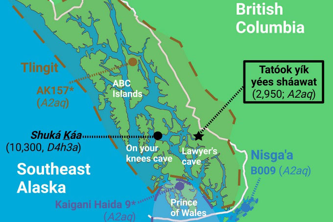 Searching for ancient bears in Alaskan cave led to important human discovery