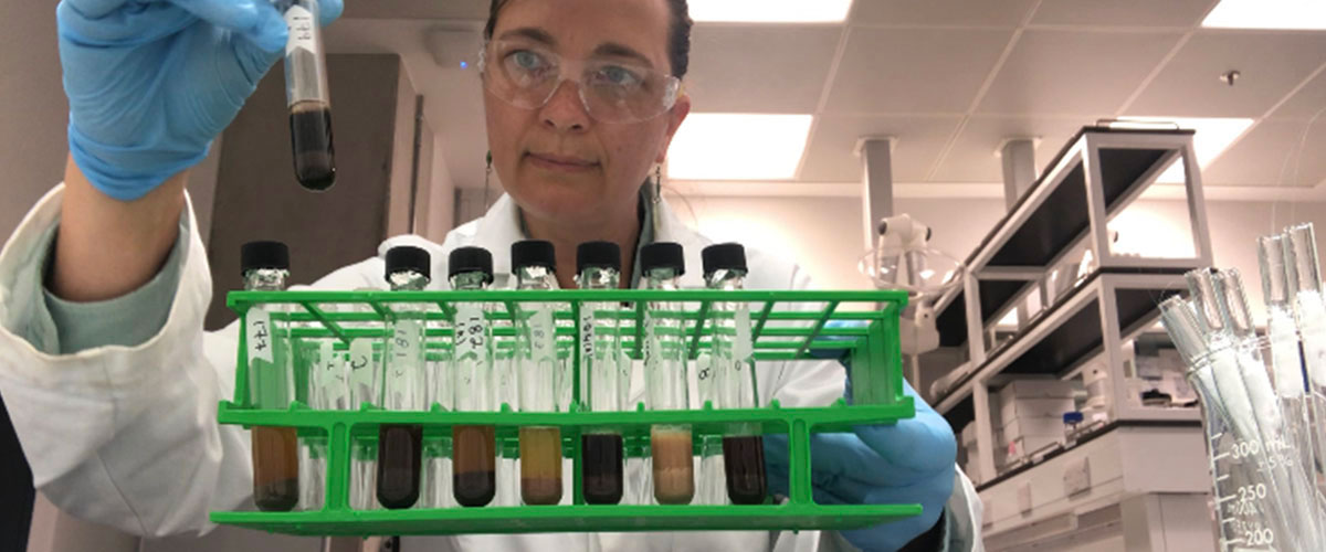 Earliest evidence of wine consumption in the Americas found in Caribbean