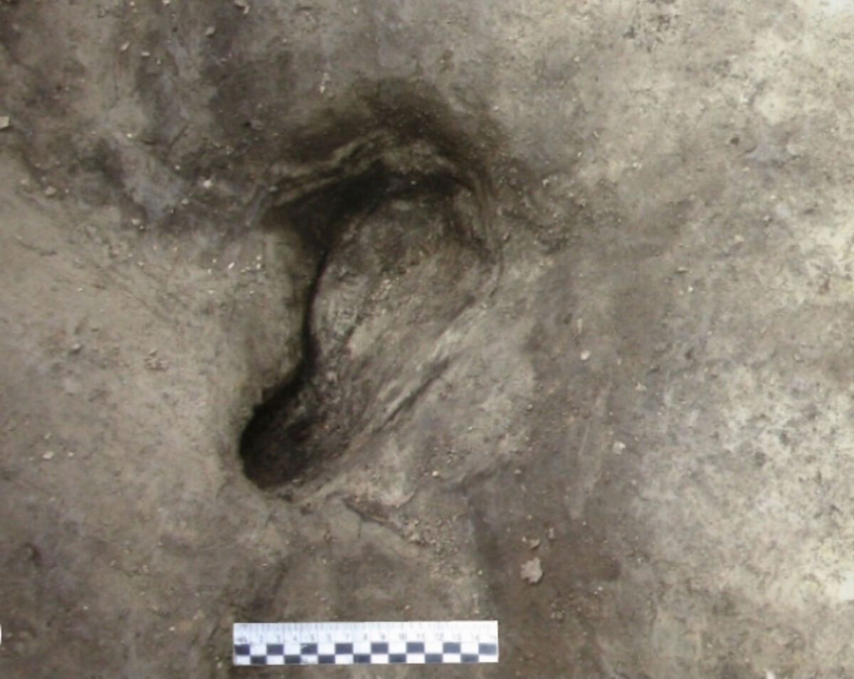 Potential hominin footprint discovered in Schöningen 13 II-2 Untere Berme. © Photo: Senckenberg