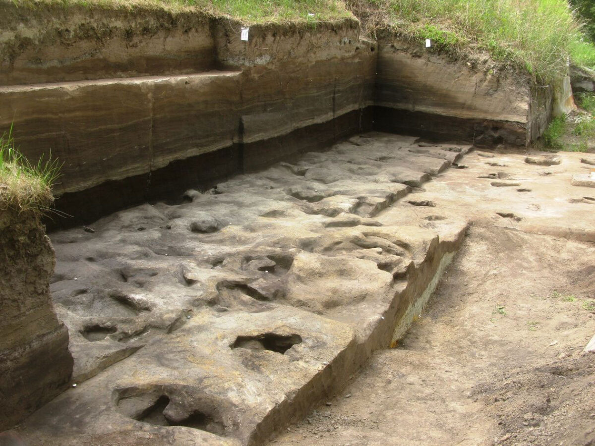 Fossil footprints from the site Schöningen 13 II-2 Untere Berme. © Photo: Senckenberg