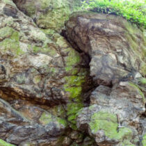 The oldest studied rocks in Poland are about 600 million years old