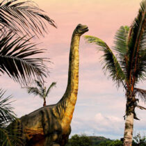 New study offers insight on evolution of the largest of the large dinosaurs