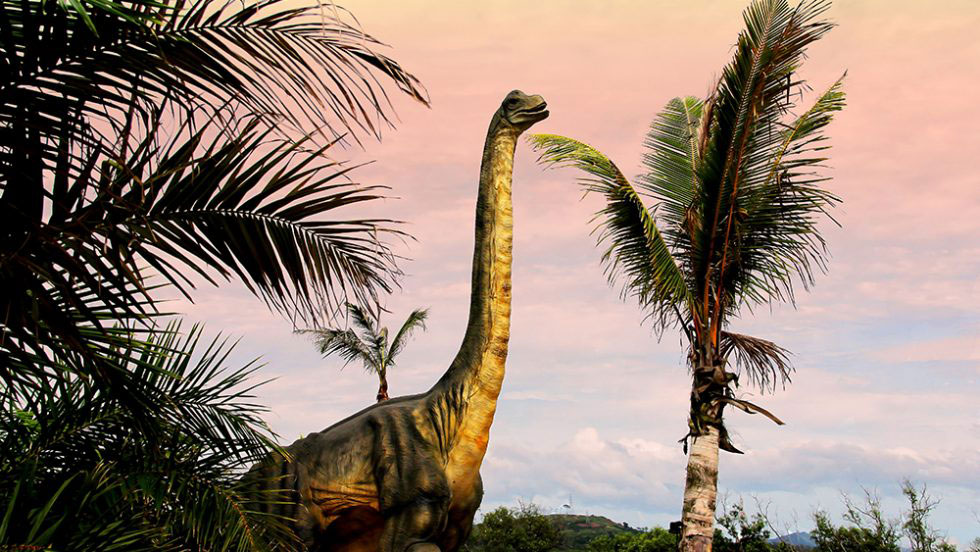 New study offers insight on evolution of the largest of the large dinosaurs