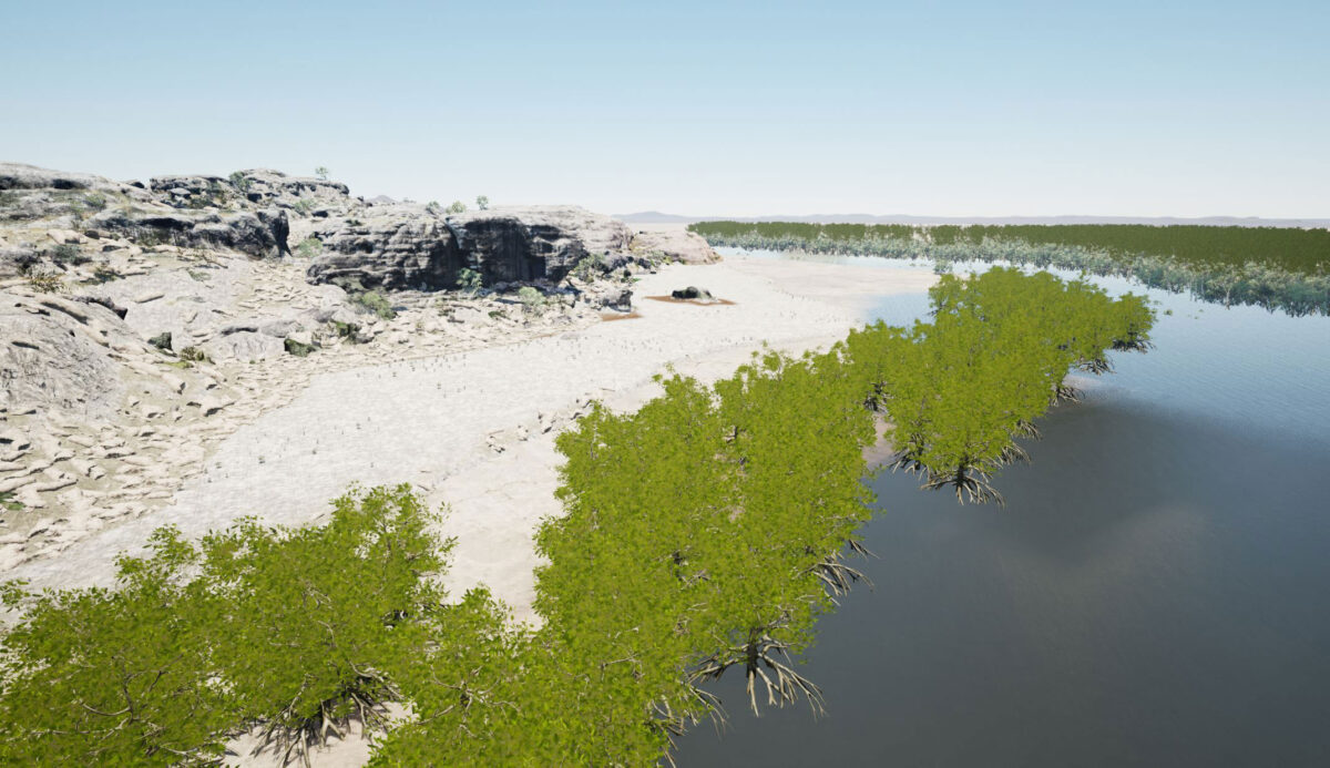 Sea level flooding Mangroves. Areal view.