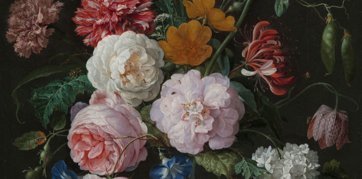 Still Life with Flowers in a Glass Vase (detail), Jan Davidsz. de Heem, 1650 - 1683. Credit: Riiksmuseum.