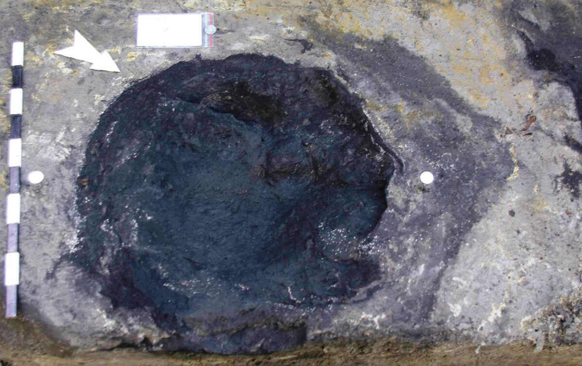 Fossil elephant track in Schöningen 13 II-2 Untere Berme, with wood fragments in the footprint backfill. © Photo: Senckenberg