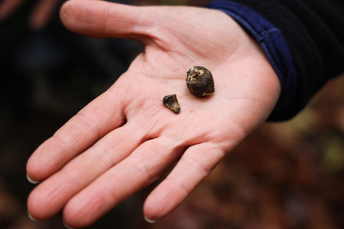 Image of a hand holding an 18th century ballistic recovered during the archeaological investigation at Jumonville Glen.
Image credit: NPS.