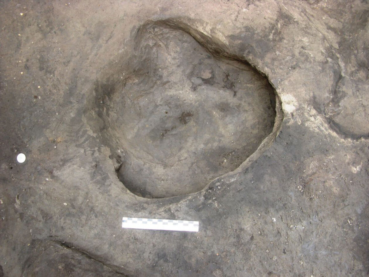 Fossil elephant track in Schöningen 13 II-2 Untere Berme, with wood fragments in the footprint backfill. © Photo: Senckenberg