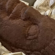 Uncovering Roman Carlisle 2023: Roman artefacts unearthed