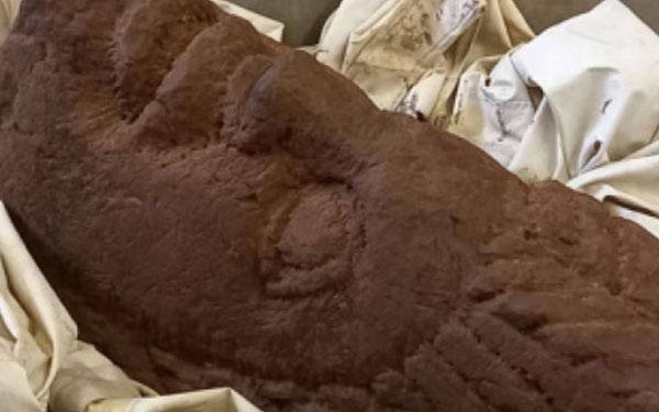 Uncovering Roman Carlisle 2023: Roman artefacts unearthed