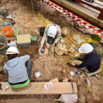 Cannibalism among the Neanderthals of the Coves del Toll de Moià