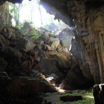 Researchers get rare glimpse of our first ancestors in Southeast Asia