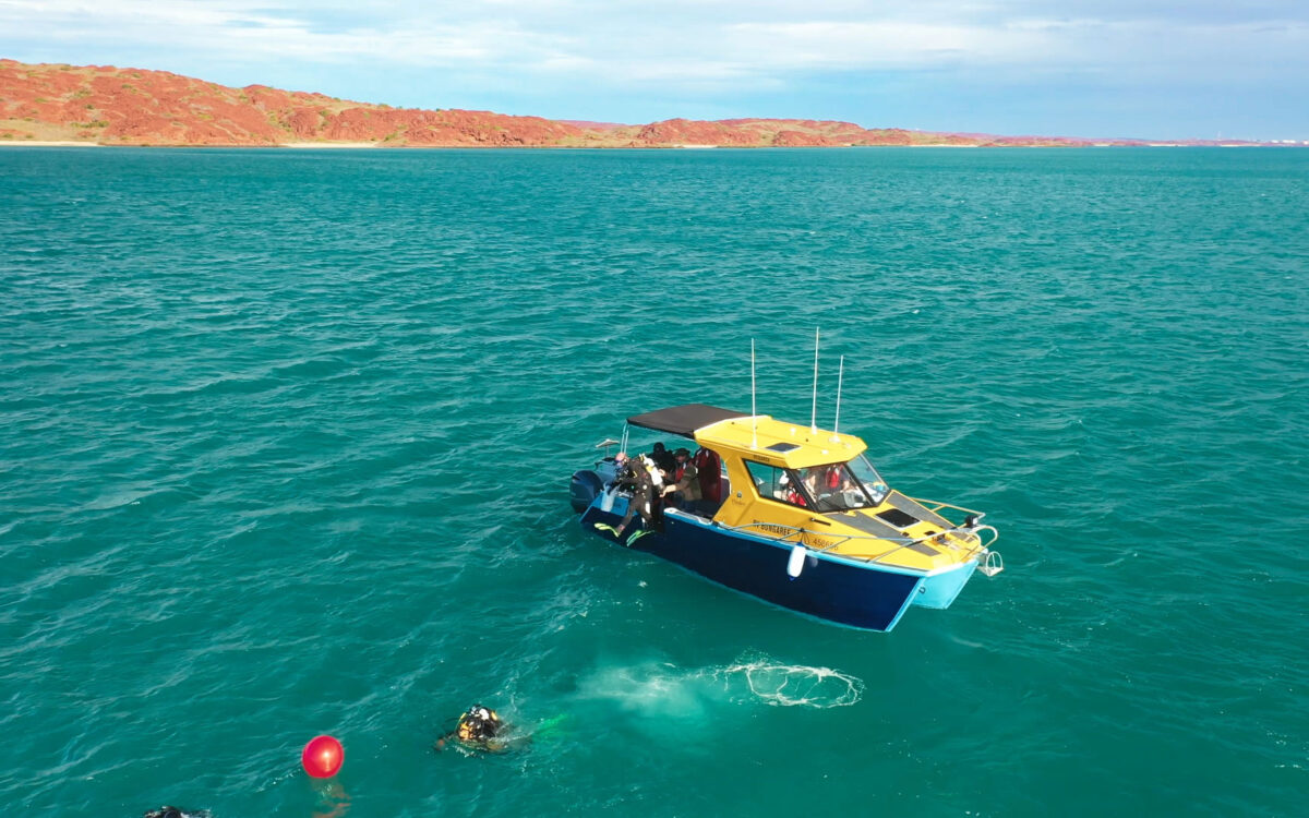 Prof. Jonathan Benjamin and Chris Wilson diving at Murujuga, WA. Image credit: Flinders University