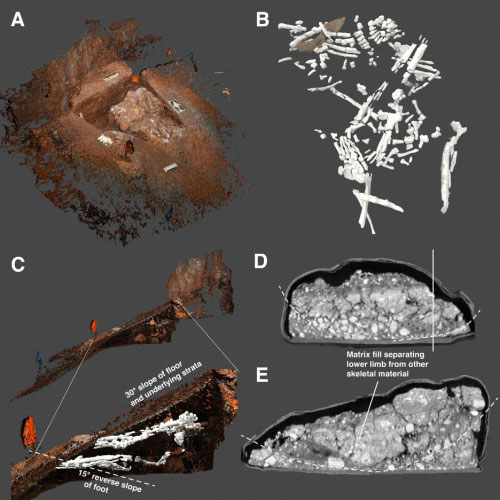 This three-dimensional model shows the burial found at the base of “the chute.” By digging below the bones and encasing them in plaster, the team was able to remove the entire block of remains from the cave and scan it with a CT. The scan revealed a skeleton along with the teeth and bones from at least three other individuals.