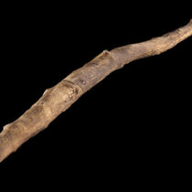 Early humans were weapon woodwork experts, study finds