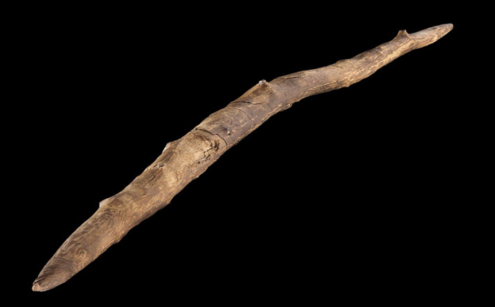 The well-preserved stick is on display at the Forschungsmuseum in Schöningen. (Volker Minkus, CC-BY 4.0)