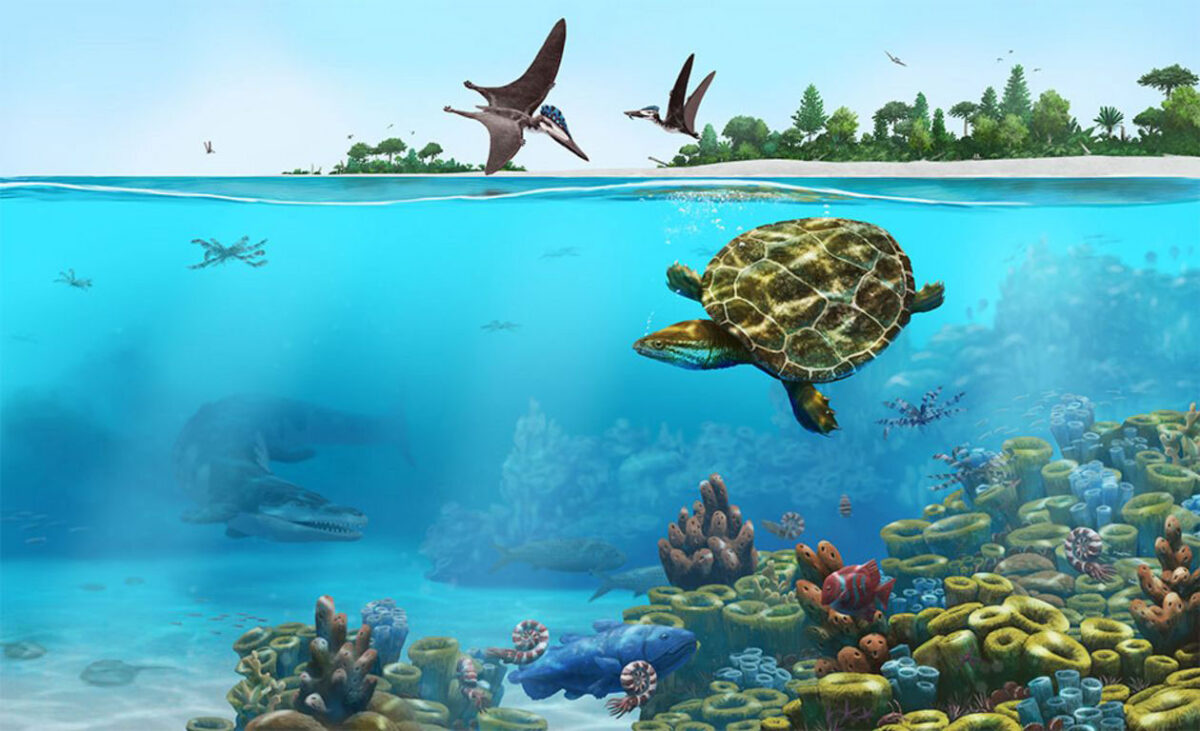 Artist’s impression of Solnhofia parsonsi’s environment in an Upper Jurassic lagoon 150 million years ago in what is now Lower Bavaria. Image: Peter Nickolaus