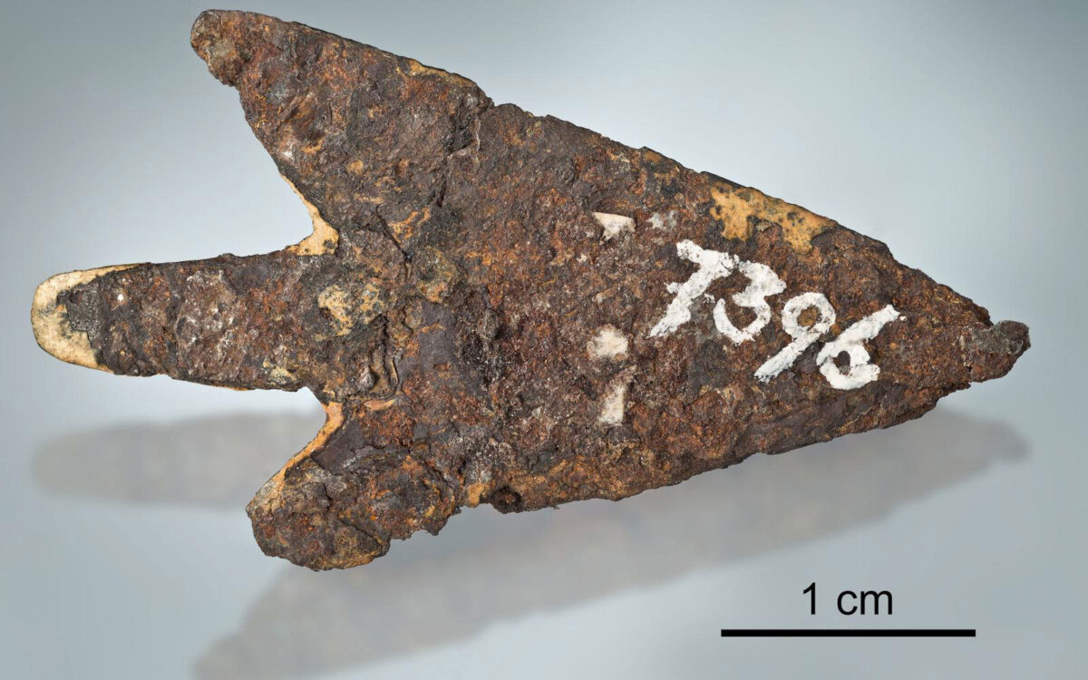 The arrow comes from a Bronze Age pile-dwelling site near Mörigen on Lake Biel (900-800 BC) and was found during excavations in the 19th century. Image: zvg/Thomas Schüpbach