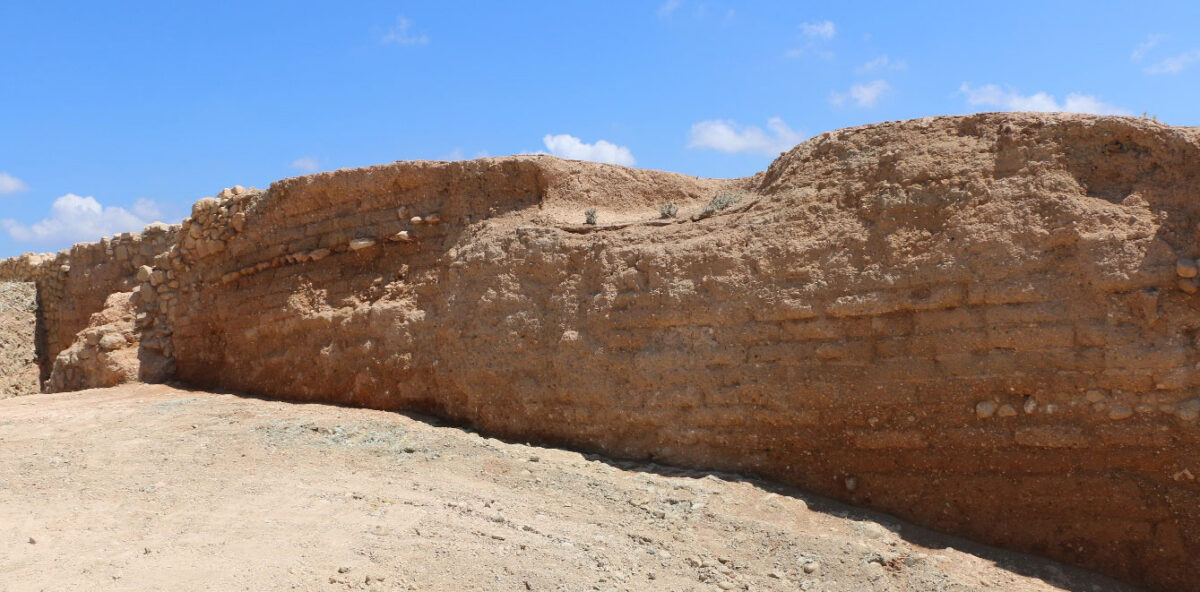 Fig. 2. Section of the eastern side of the wall (3m high), showing the exposed mudbricks of the interior façade which initially had a protective cover of unworked stones. 