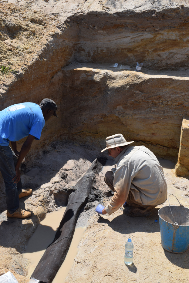 Archaeologists discover world’s oldest wooden structure