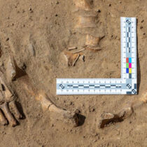 ‘Vampire’ child grave discovered in 17th-century cursed cemetery