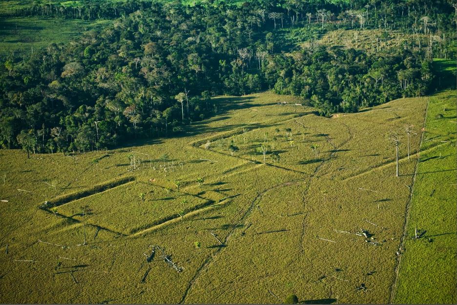 Earthworks on Amazonian landscape.
© Mauricio de Paiva