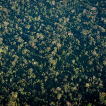 Amazonian Rainforest Hides Thousands of Records of Ancient Indigenous Communities