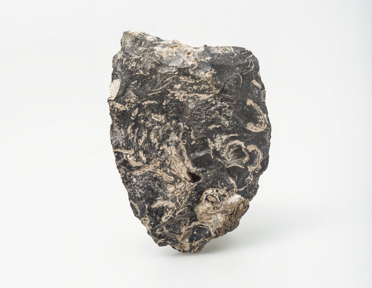 Bifacially flaked stone tool, possibly broken handaxe remodelled into a cleaver, Rodafnidia, Lesbos, Greece, minimum age 300,000–200,000 years.Silicified limestone.
University of Crete excavation.©Ephorate of Antiquities of Lesbos, Archaeological
Museum of Mytilene, accession no. ΠΛΘ1.PhotobyVassilisTsonis. 

