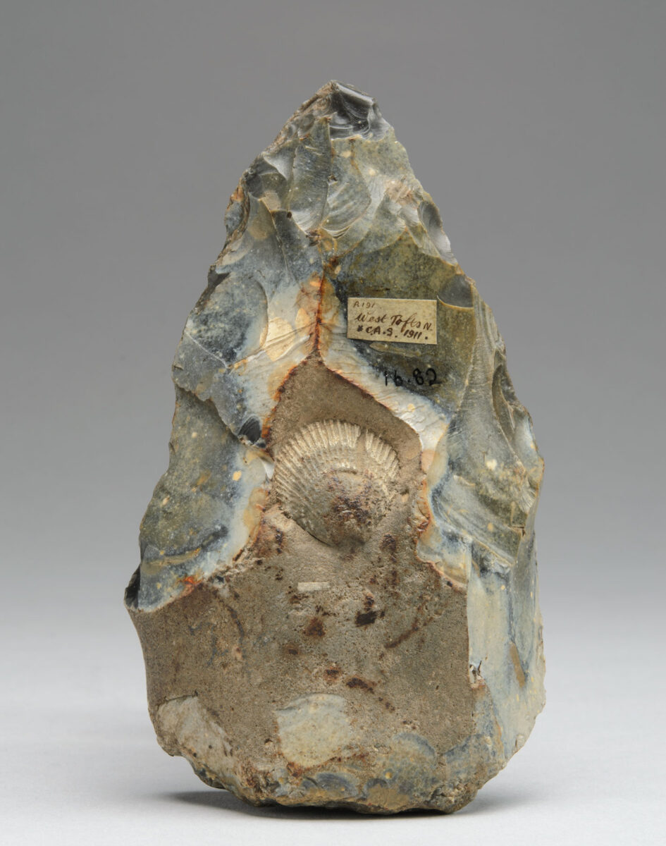 Handaxe, West Tofts, Norfolk, England, ca. 500,000–300,000 years, chert 
©Museum of Archaeology and Anthropology, University of Cambridge, no. 1916.82/Record 
