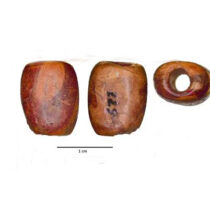 Researchers identify the oldest pieces of Baltic amber found on the Iberian Peninsula